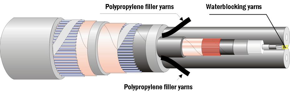 pag50-F1